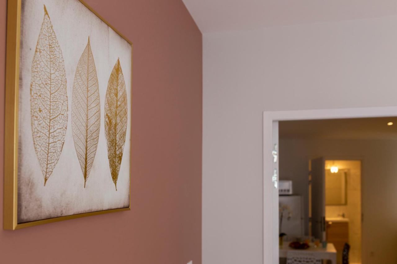 Loc Trotteur Le Fleur Des Champs F2 Cosy, Gare Sncf De Lourdes Apartment Exterior photo